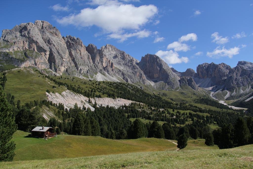 Apartments Vaiolet Santa Cristina Val Gardena Kültér fotó