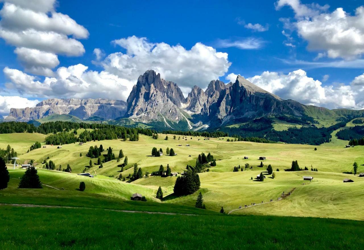 Apartments Vaiolet Santa Cristina Val Gardena Kültér fotó